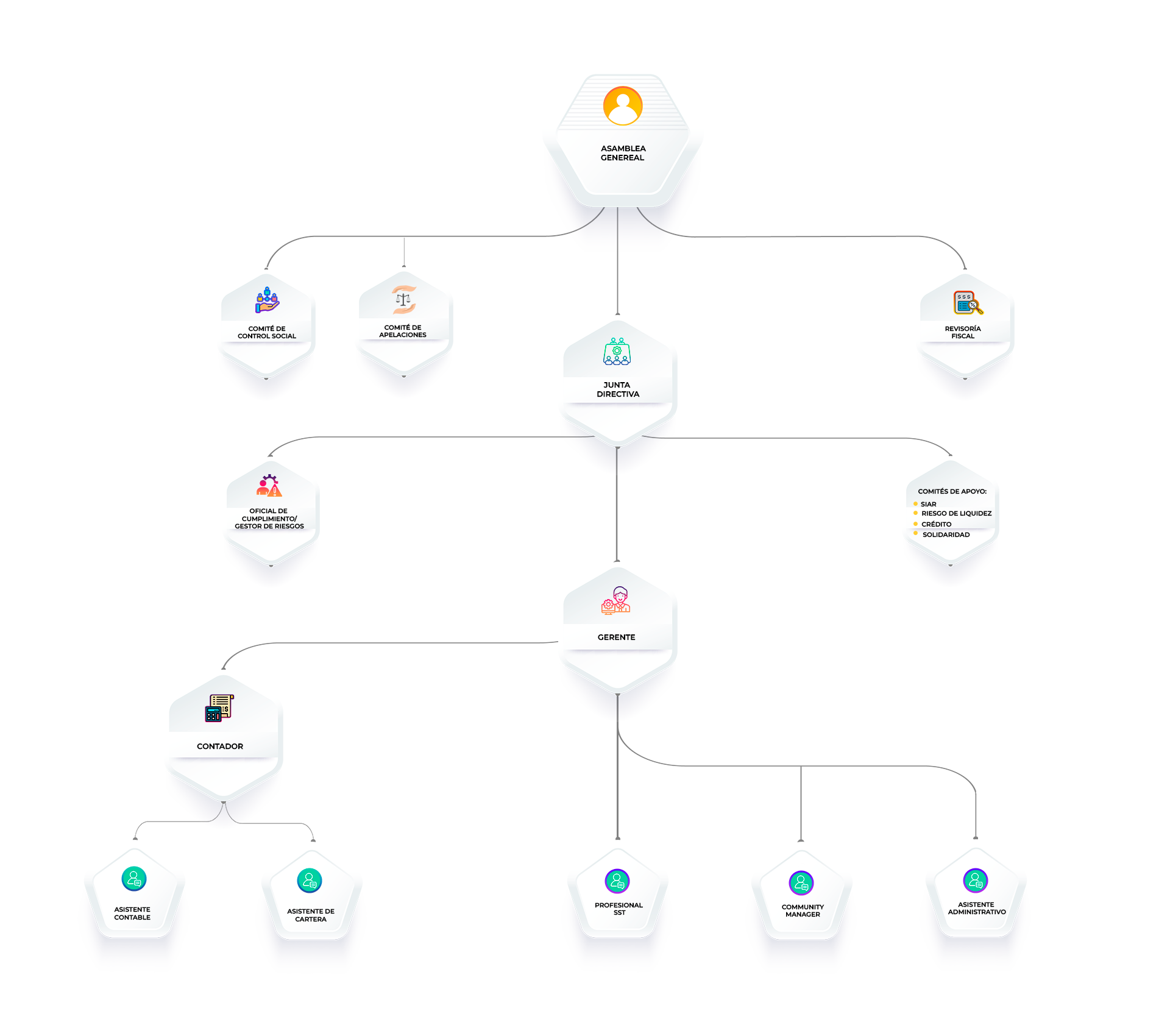 Organigrama